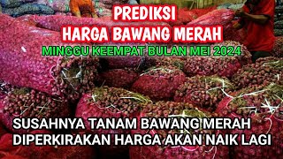 Perkiraan harga bawang merah minggu keempat bulan mei 2024