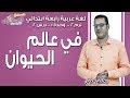 لغة عربية رابعة ابتدائي 2019 | في عالم الحيوان | تيرم2 - وح1 -در 2| الاسكوله
