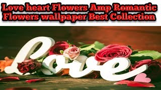 Flowers Wallpapers BesLove Flowers Amp Romantict Collection screenshot 2