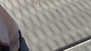 Seth Christian L3 Boys 18 Sept 2025 Clip 1.14