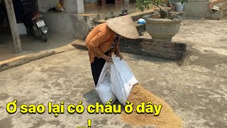 Bà về phơi lúa thấy bao chấu …!