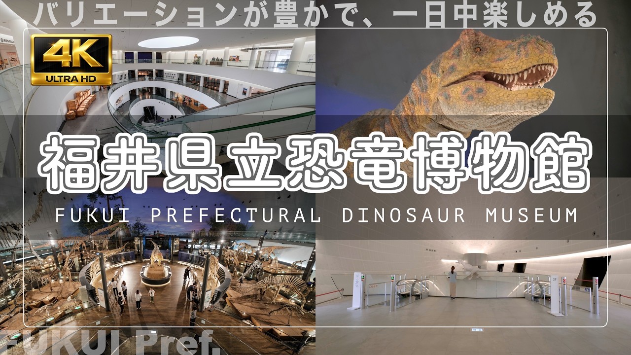 【世界に誇る博物館】大人も子供も楽しめる！福井県立恐竜博物館に行ってきました