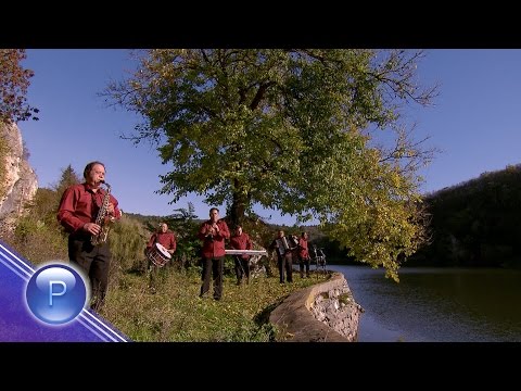 HARRY BAND -
