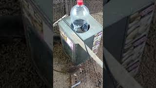 DIY Mouse trap Making