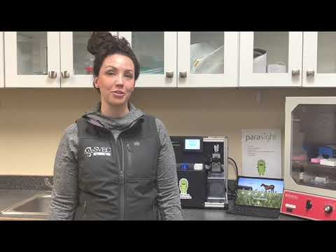 Parasight System in your lab.