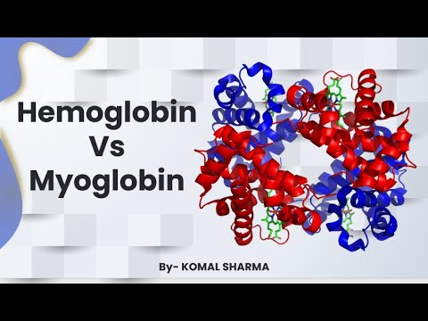 Hemoglobin Vs Myoglobin What Is Myoglobin YouTube