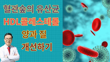 혈관숲의 유산균 HDL 좋은 콜레테스롤 양과 질 개선하는 법  how to improve HDL cholesterol