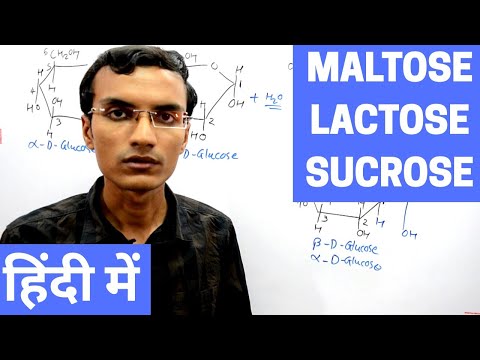 Disaccharides | Maltose, Lactose and Sucrose in Hindi
