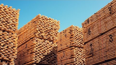 How trees are made into lumber