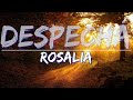ROSALÍA - DESPECHÁ (Clean) (Letra / Lyrics) - Audio, 4k Video