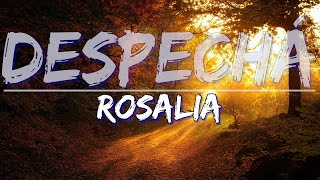 ROSALÍA - DESPECHÁ (Clean) (Letra \/ Lyrics) - Audio, 4k Video