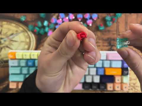 Video Cảm Nhận về garlic king switch(Bulbasour/tỏi... - youtube