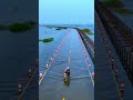 Poyang Lake Water Road #shorts
