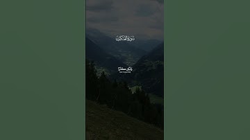 عبدالرحمن مسعد - سورة العنكبوت | وماكان الله ليظلمهم #اكسبلور #تلاوة_خاشعة #عبدالرحمن_مسعد #قران
