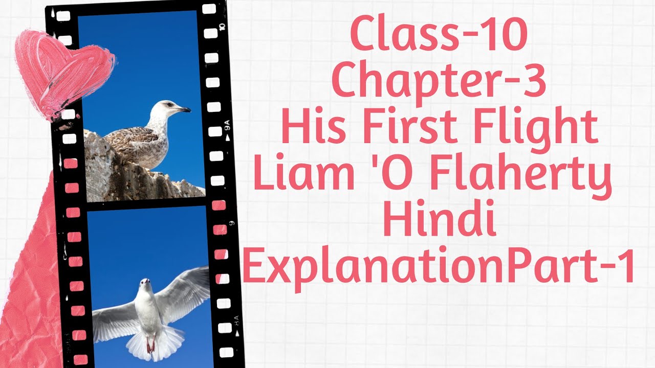 Class 10 Chapter 3 Two Stories About Flying Part 1 His First Flight class-10-chapter-3-two-stories-about-flying-part-1-his-first-flight