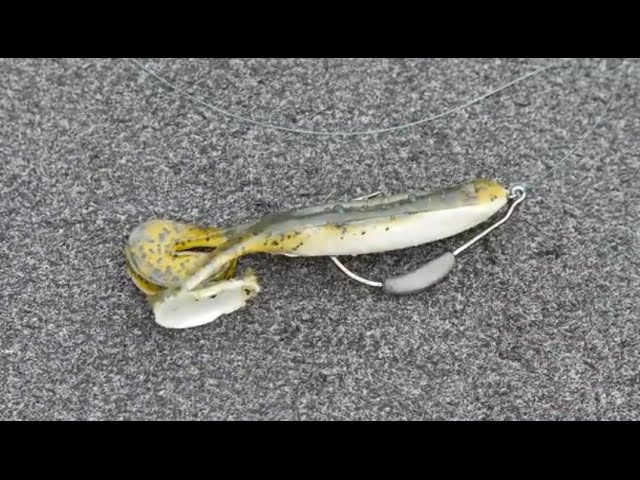 How To Fish A Buzz Frog With LakeForkGuy 