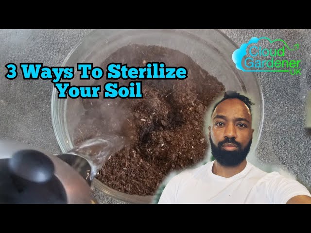 Should You Sterilize Your Soil?