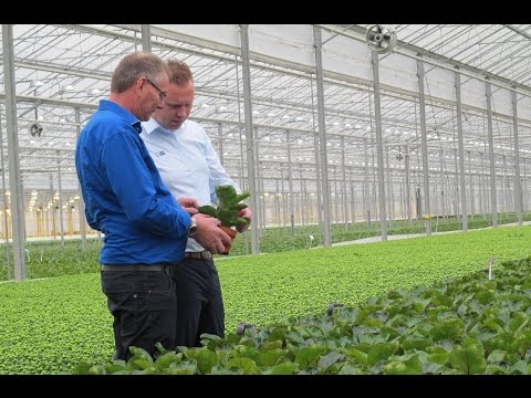 The Grower Files: Frans Bunnik van Bunnik Plants over klimaatmanagement