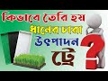 কিভাবে তৈরী হয় ধানের চারা উৎপাদন ট্রে - How to make rice seedling production tray