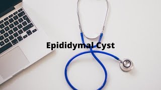 S8E3 Epididymal Cyst is a common cause of scrotal lump