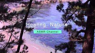 Chuam Beach Wave Sound ASMR/Healing/Korea Nature/Sleep Induction/Insomnia, Stress Relief/