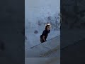 Patrick Ryan #poolingaround #Skateboarding