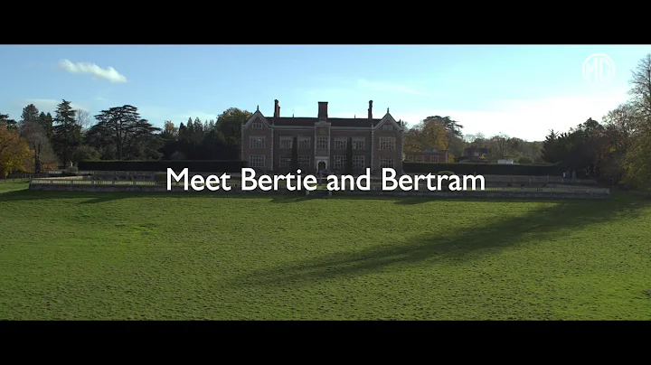 Meet Bertie and Bertram