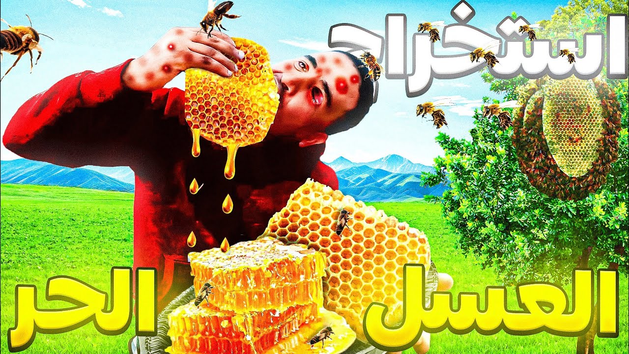 حياة البرية : جني العسل الحر الطبيعي الأصلي😋 بطريقة بدائية تقليدية شاهد خطورة خلية النحل🐝