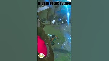 Legend of Zelda : Breath of the python
