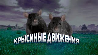 Крысиные Движения | PUBG