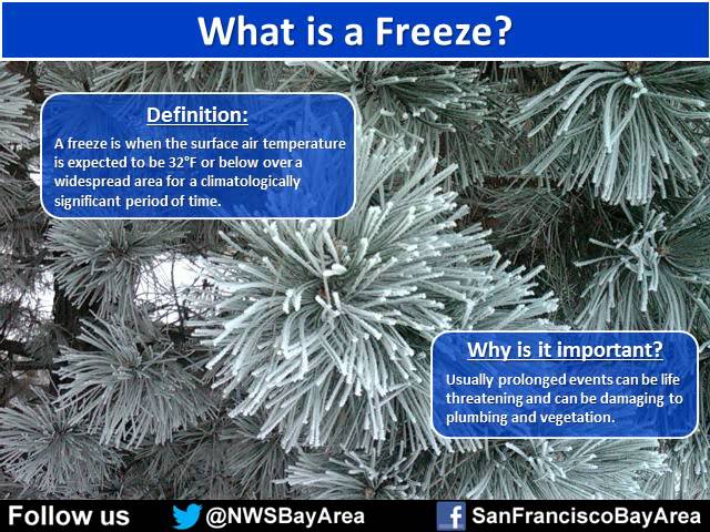 What's the difference between frost, freeze and hard freeze