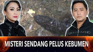 820 - THE MYSTERY OF THE EEL THAT IS AN INCARNATION OF A PRINCESS AT SENDANG PELUS KEBUMEN