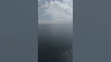 مهاجر على مثن جسكي في مياه دولية وحرس مدني اسباني مشافنيشي وقريب عليا 