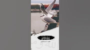 القارئ : محمد الغزالي