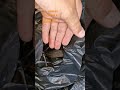 З/ч КАМАЗ  - отправка в город Барнаул!  89274661616