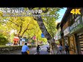 4K Hangzhou Citywalk, Autumn, Shangcheng District, Middle &amp; North Zhongshan Road | 深秋杭州街景