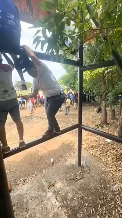 The End πππ