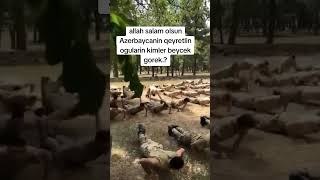 💙❤️💚Whatsapp ucun maraqli, MƏNALI statuslar, status ucun videolar, QƏMLİ WHATSAPP STATUSLAR.