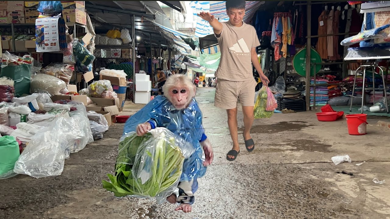 So funny cute! Luk did something special when going to market with Thang