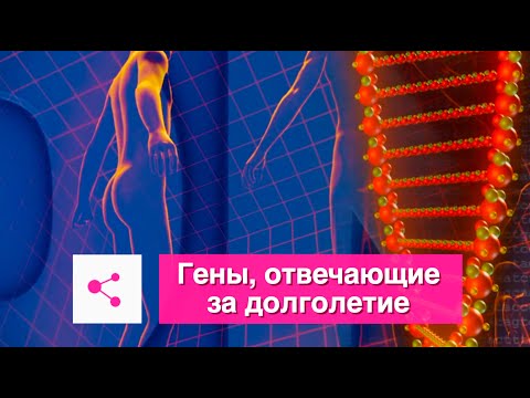 Гены долголетия человека