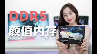 DDR5颜值内存条， RGB灯效，镀银散热马甲全都有了Netac DDR5 Memory Stick Unboxing