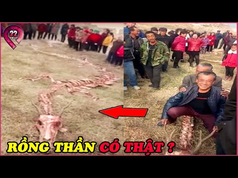Video KINH NGẠC Rồng Thần Rơi Xuống Khu Đất Trống, Hàng Ngàn... - youtube