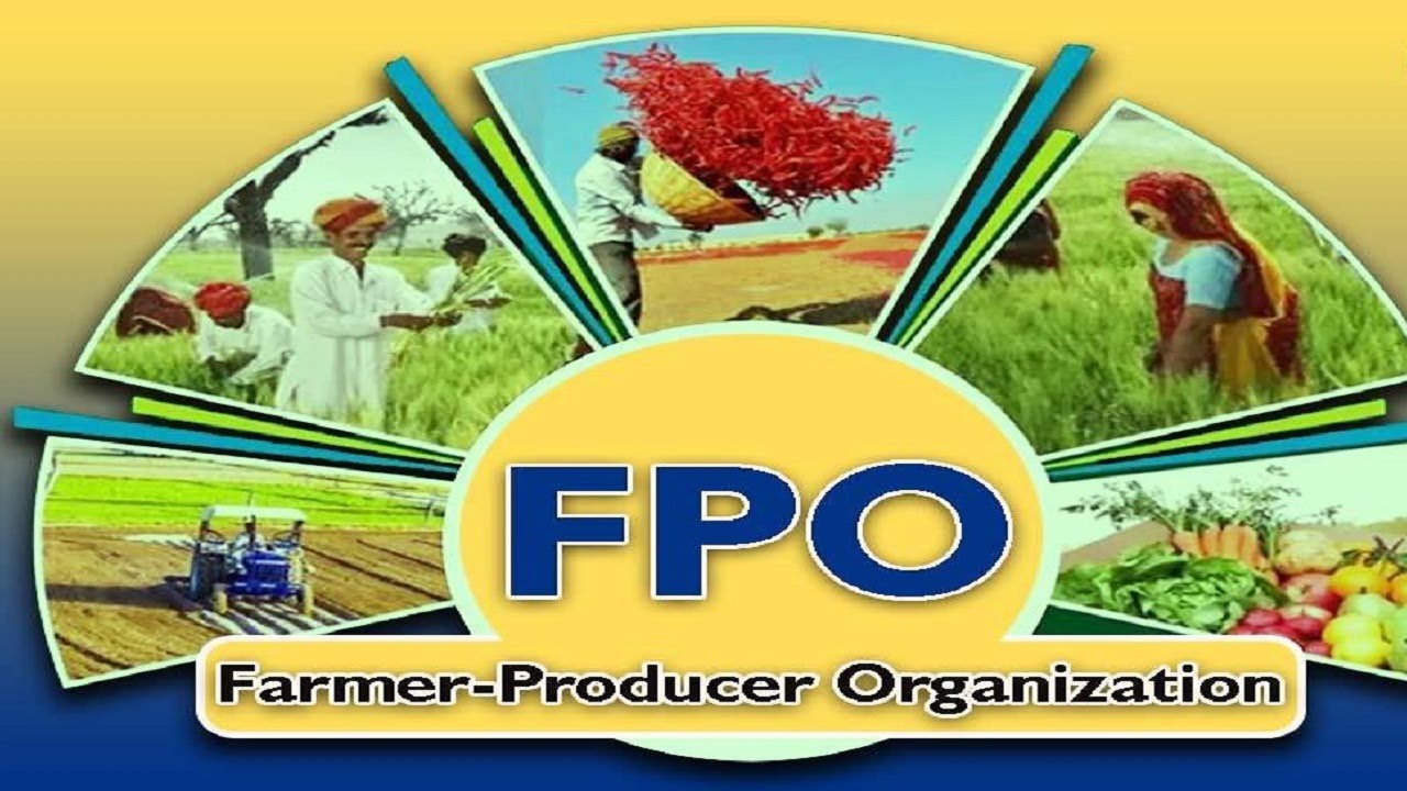 किसान उत्पादक संगठन ll Farmer Producer Organization