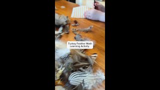 Turkey Feather Math learning Activity