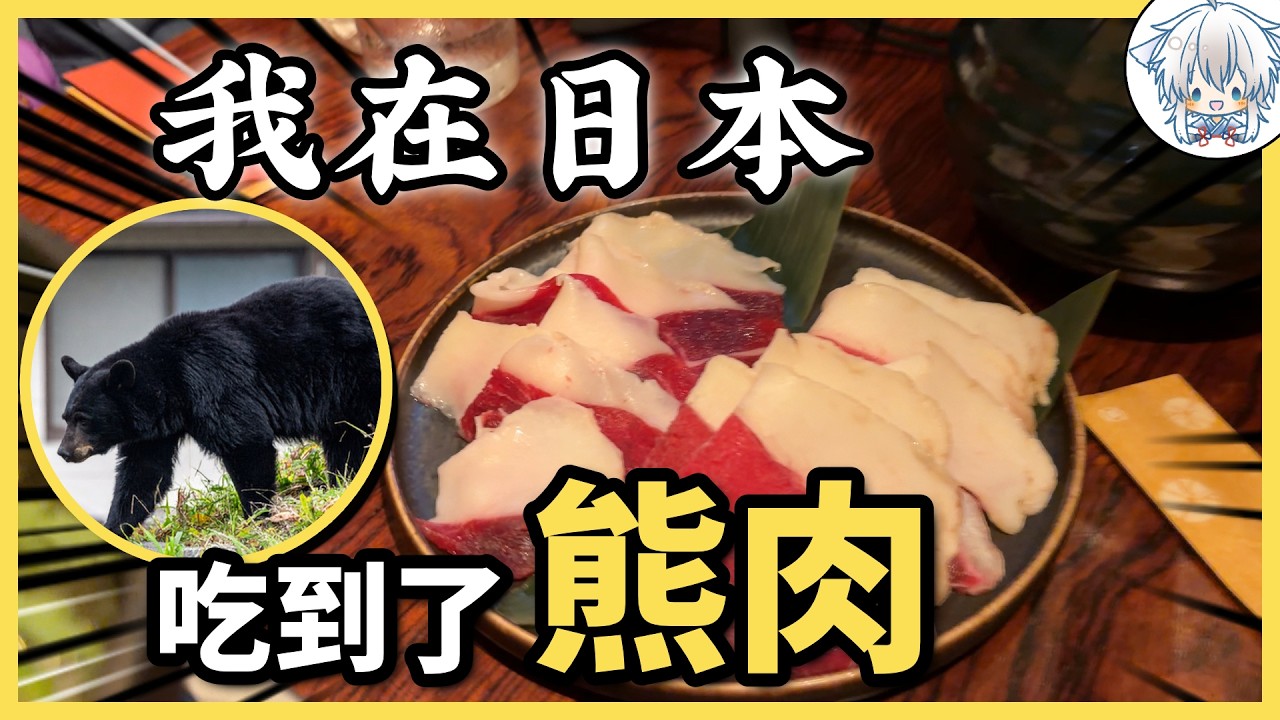 不違法吧?在日本吃熊肉火鍋和熊排,吃到懷疑人生