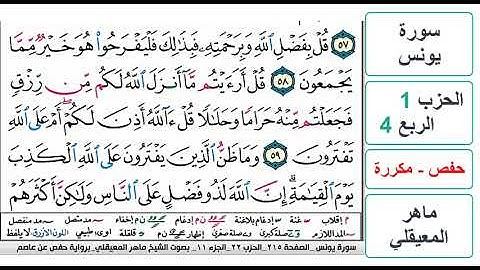 سورة يونس - الحزب 1 - الربع 4 - حفص - ماهر المعيقلي - مكررة