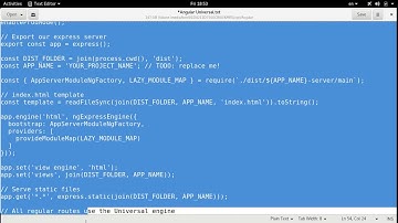 [Arabic] Angular 7 #29- Angular Universal احتراف الانجولار