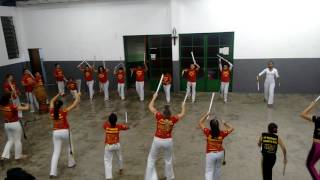 Maculele 2017 / Ensaio