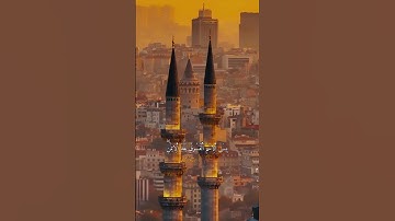 ارح سمعك... تلاوة هادئة للشيخ العيون الكوشي | سورة الحجرات مكتوبة | بجودة عالية | High Quality