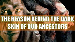 Why Were Most Of Our Ancestors Dark Skinned?